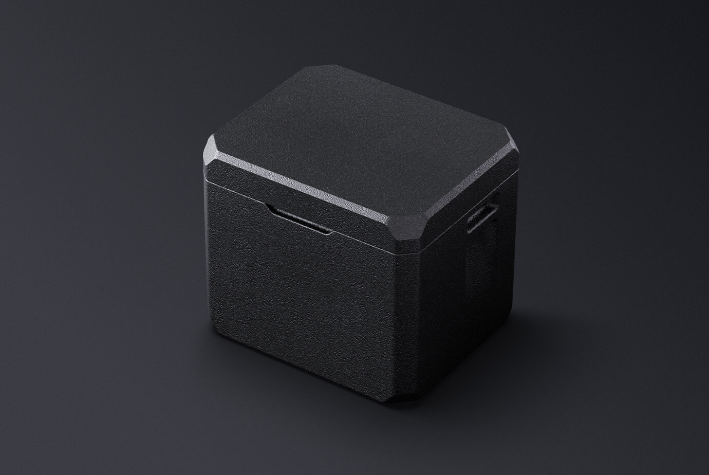 FlyCart 100 Transportbox